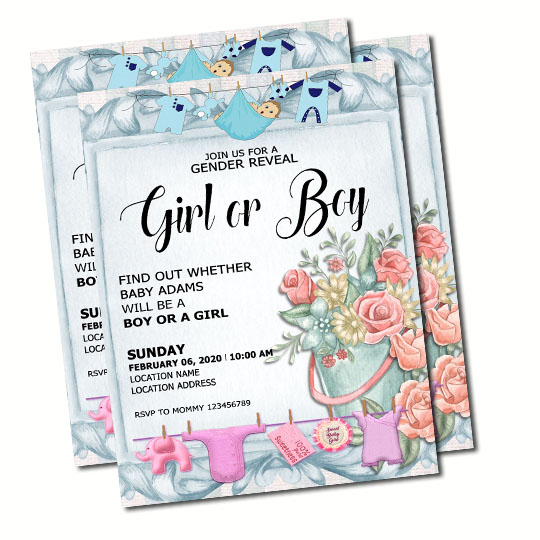 Girl or Boy 4 GR